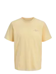 Jack & Jones - Jjcollege Logo Tee Ss Crew Neck Jnr - L&uuml;hikeste varrukatega - 128