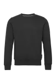 Sail Racing - Bowman Logo Sweater - Dressipluusid - XXL