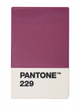 PANTONE - Pantone Creditcard Holder In Matte And Giftbox - Kaarditaskud - H:11CM