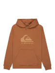Quiksilver - Comp Logo Hoodie Youth - Kapuutsiga pusad - 1176