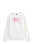 Tommy Jeans - Tjw Rlx Gradient Flag Crew - Dressipluusid - XL