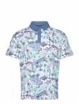 Original Penguin Golf - Palm Springs Polo - Spordi l&uuml;hikeste varrukatega polos&auml;rgid - M