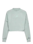 Adidas Sportswear - Jg Fi 3S Crew - Dressipluusid - 164
