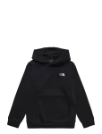 The North Face - Teen Evolution Simple Dome Pullover Hood - Kapuutsiga pusad - XL