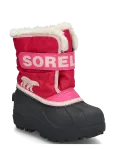 Sorel - Toddler Snow Commander - Talvesaapad kr&otilde;pskinnisega - 22