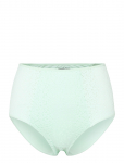 CHANTELLE - Norah High Waisted Full Brief - K&otilde;rge v&ouml;&ouml;kohaga alusp&uuml;ksid - 46