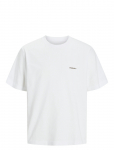 Jack & Jones - Jorparos Easter Sketch Tee Ss Crew N Ln - L&uuml;hikeste varrukatega - S