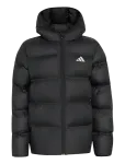 Adidas Sportswear - J Sd Jkt - Tepitud ja polsterdatud - 152