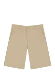 Dickies - 247 Shorts - Chino l&uuml;hikesed p&uuml;ksid - 30
