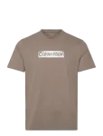 Calvin Klein - Ss 30S Eu Spw Mtl Stndrd Graphic - L&uuml;hikeste varrukatega - XL