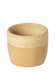 Costa Nova - Arenito Espresso Krus - Espressotassid - ONE SIZE