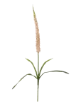 Bloomingville - Foxtail Stem - Kuivatatud ja kunstlilled - H73CM