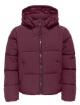 Kids Only - Kogdolly Life Sht Puffer Jacket Otw Noos - Tepitud ja polsterdatud - 152