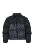 Adidas Sportswear - Jg Sd Aop Jkt - Tepitud ja polsterdatud - 140