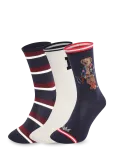 Polo Ralph Lauren - Polo Bear Striped Sock 3-Pack - Tavalised sokid - 38-42