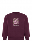 ONLY & SONS - Osjbeaufort Crew Neck Rlx Swt - Dressipluusid - 110-116