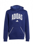 Adidas Sportswear - J Clgt Oh Fl Hd - Kapuutsiga pusad - 140
