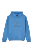 Quiksilver - Comp Logo Hoodie Youth - Kapuutsiga pusad - 16
