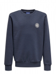 ONLY & SONS - Osjceres Cell Reg Ls Crew Swt - Dressipluusid - 170-176
