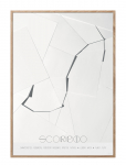 ChiCura - Scorpio - The Scorpion - Black & White - 50X70CM
