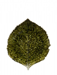 Costa Nova - Bladfad Hydrangea L - Dekoratiivsed vaagnad - 21.8X 19.1CM