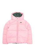Levi's - Ho-Heavy Weight Outerwear - Tepitud ja polsterdatud - 110