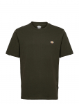 Dickies - Mapleton Ss Tee - L&uuml;hikeste varrukatega - L