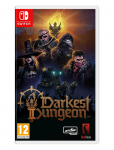 Skybound - Switch Darkest Dungeon Ii - M&auml;ngud - ONE SIZE