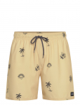 Rip Curl - Sessions Volley - Spordi ujumisp&uuml;ksid - L
