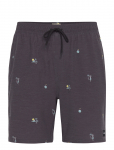 Rip Curl - Skelly Breach Volley - Spordi ujumisp&uuml;ksid - XL