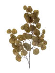 Bloomingville - Eucalyptus Stem - Kuivatatud ja kunstlilled - H86CM