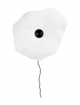 Globen Lighting - Ceiling Lamp/Wall Lamp Tropez 60 - Laelambid - ONE SIZE