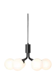 Nuura - Apiales 6 - Rippvalgustid - ONE SIZE