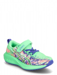 Asics - Pre Noosa Tri 16 Ps - Jooksujalatsid - 33.5