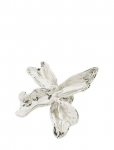 Pilgrim - Dream Broche Silver-Plated - Prossid - ONE SIZE