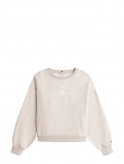 Tommy Hilfiger - Varsity Crest Fleece Swtshrt - Dressipluusid - XXXL