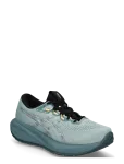 Asics - Gel-Cumulus 28 Lite-Show - Spordi jooksujalatsid - 42.5