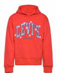 Levi's - Levi's&reg; Graphic Logo Oversized Hoodie - Kapuutsiga pusad - 128