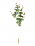 House Doctor - Artificial Branch, Hdeucalyptus, Gr - Kuivatatud ja kunstlilled - 25X 90CM
