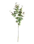 House Doctor - Artificial Branch, Hdeucalyptus, Gr - Kuivatatud ja kunstlilled - 25X90CM