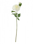 Bloomingville - Dahlia Stem - Kuivatatud ja kunstlilled - H64CM