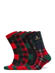 Polo Ralph Lauren - Polo Bear Cotton-Blend Crew Sock 6-Pack - Tavalised sokid - 43-46