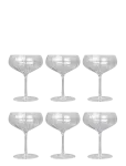 Specktrum - Meadow Cocktail Glass - 6 Pack - Kokteiliklaasid - ONE SIZE