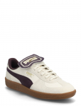 PUMA - Palermo Premium - Madala s&auml;&auml;rega sporditossud - 39
