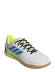 Adidas Performance - Top Sala Competition Ii - Spordi sisejalatsid - 41 1/3