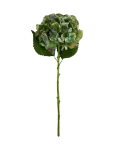 House Doctor - Artificial Flower, Hdhydrangea, Gre - Kuivatatud ja kunstlilled - 20X50CM
