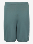 Nike - Nike Dri-Fit Acd25 Short Kp Br - Spordi l&uuml;hikesed treeningp&uuml;ksid - M