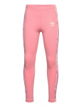 Adidas Originals - Leggings - Spordiretuusid - 164