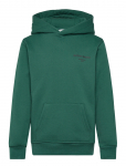 Bj&ouml;rn Borg - Borg Essential 1 Hoodie - Kapuutsiga pusad - 110-116
