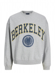 Jack & Jones - Jorberkeley Sweat C.n Styd Ss25 - Dressipluusid - XL